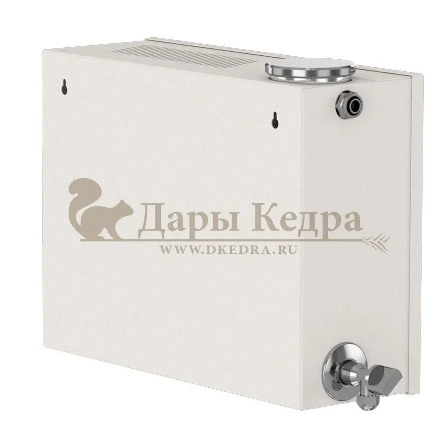 Парогенератор проточный, 2 кВт с выносным цифровым пультом управления